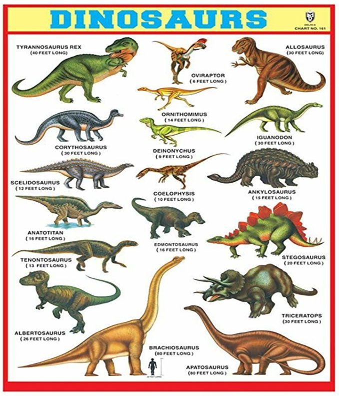 dino chart